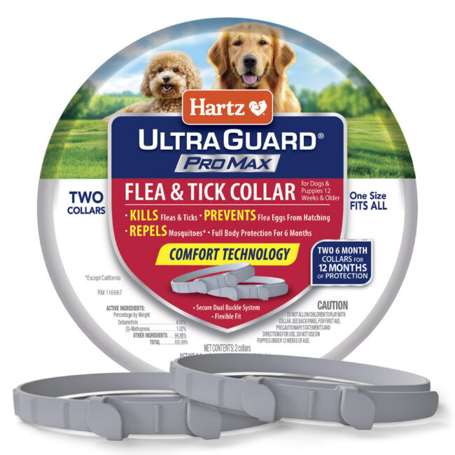 Hartz UltraGuard ProMax Flea & Tick Collar for Dogs & Puppies - Gray