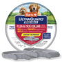 Hartz UltraGuard ProMax Flea & Tick Collar for Dogs & Puppies - Gray