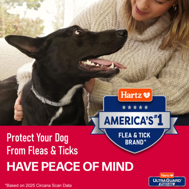 Hartz Ultraguard promax flea & tick collars provide piece of mind.