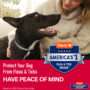 Hartz Ultraguard promax flea & tick collars provide piece of mind.