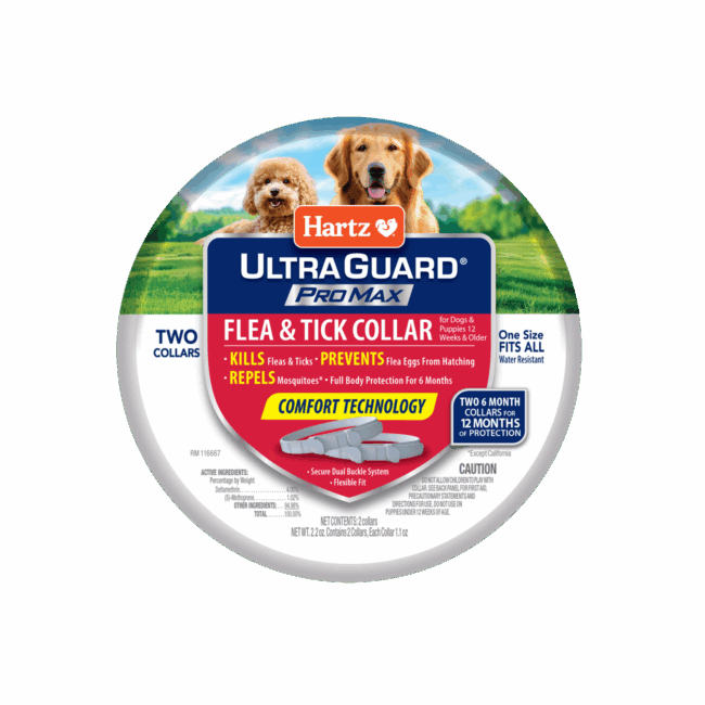 Hartz UltraGuard Promax dog collar. Hartz SKU# 3270011357