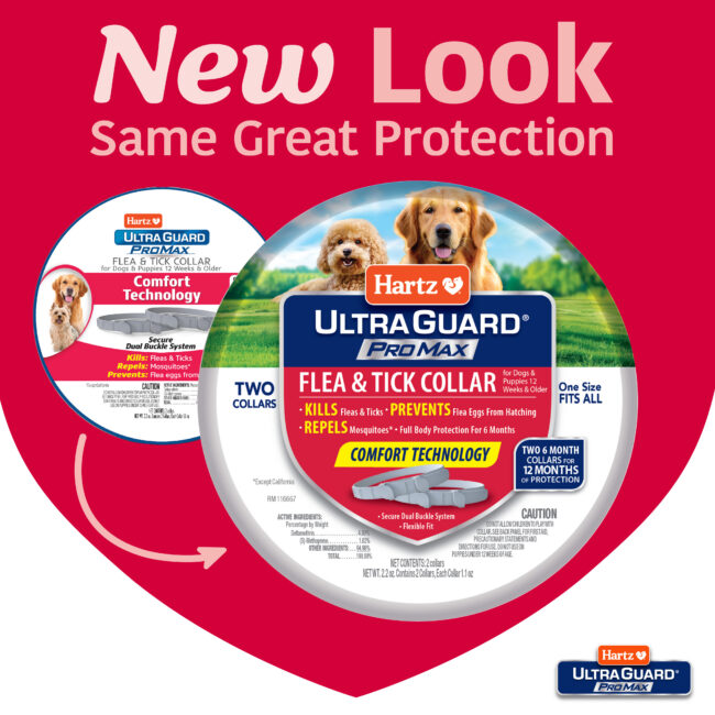 Hartz UltraGuard ProMax Flea & Tick Collar for Dogs & Puppies - Gray. New Look