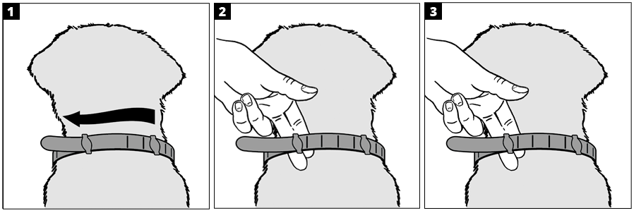 Visual directions for using one of the Hartz flea and tick collars for dogs.