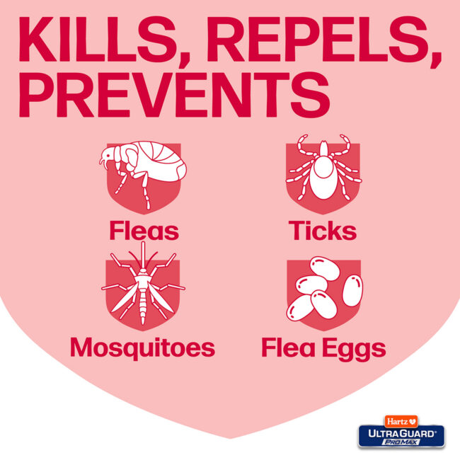Dog collar kills repels, prevents fleas, ticks, mosquitos and flea eggs