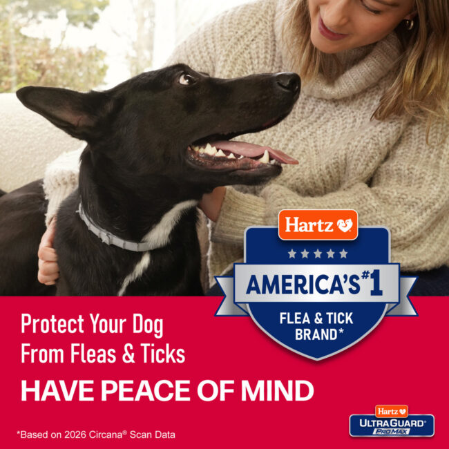 Promax dog collar peace of mind