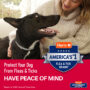 Promax dog collar peace of mind
