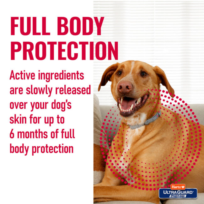 Dog collar providing full body protection