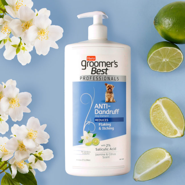 Hartz groomer's best professionals anti-dandruff dog shampoo with jasmine and citrus. 32oz. pump bottle. Hartz SKU# 3270012045
