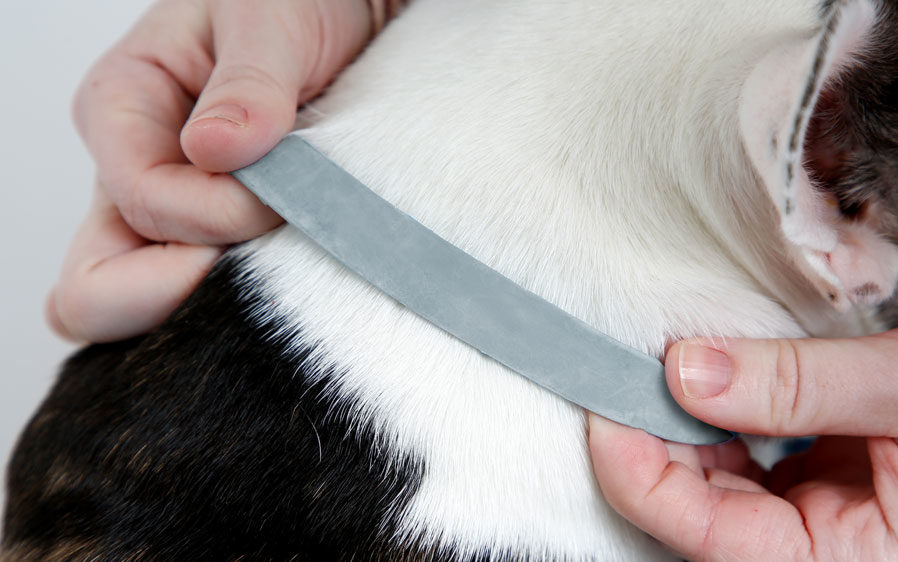 InControl Archives Hartz