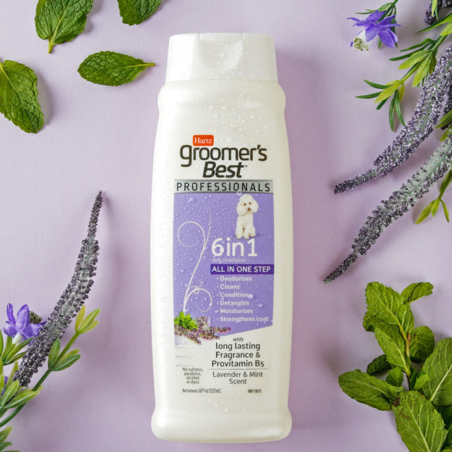 Hartz groomer's best professionals 6 in 1 dog shampoo. With lavender and mint. Hartz SKU# 3270011374