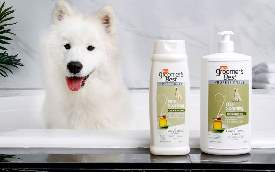White dog with groomer's best professionals itch soothing dog grooming shampoo.