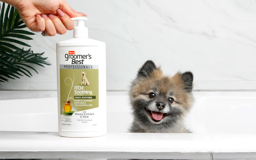 Cute dog with groomer's best professionals itch soothing dog grooming shampoo. In a 32oz. pump bottle.