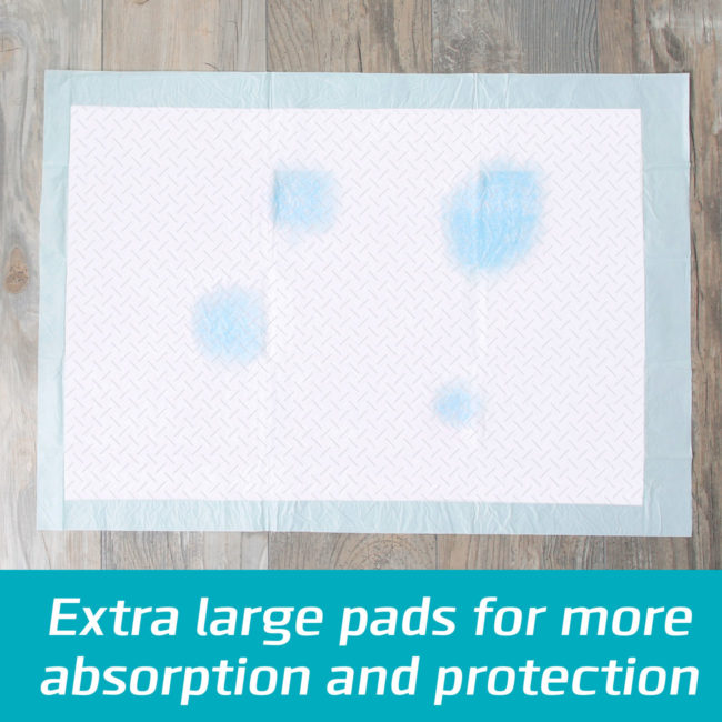 Extra large dog pads for more absorption.