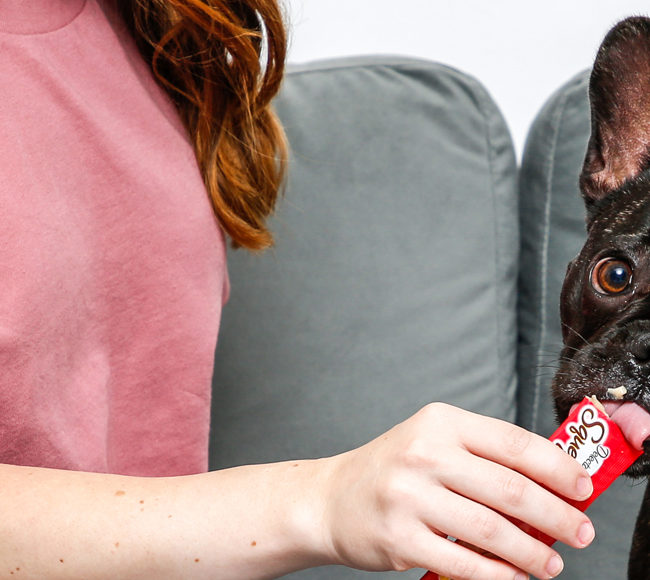 woman feeding dog delectables squeeze up dog treat.