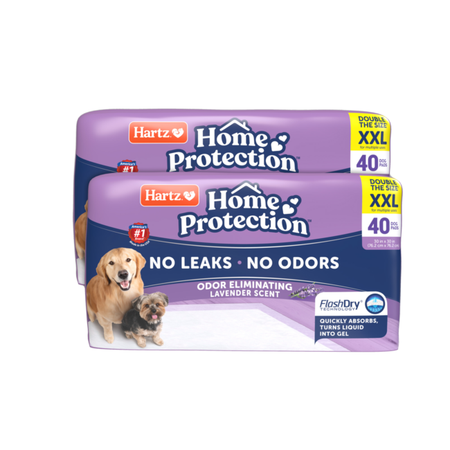 Hartz® Home Protection™ XXL Odor Eliminating Dog Pads 80 Count - Lavender Scented