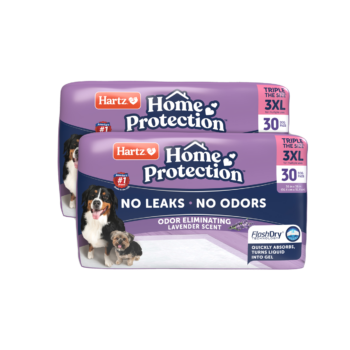 Hartz® Home Protection™ 3XL Odor Eliminating Dog Pads - 60 Count