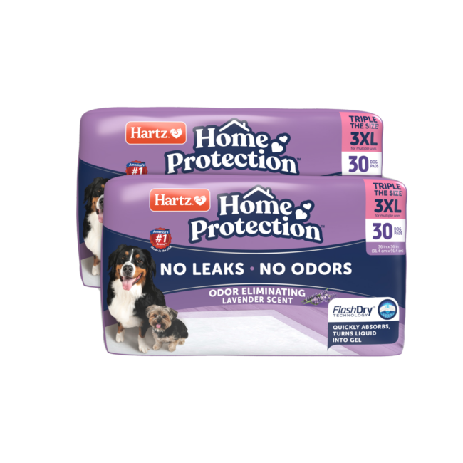 Hartz® Home Protection™ 3XL Odor Eliminating Dog Pads - 60 Count