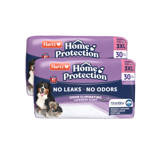 Hartz® Home Protection™ 3XL Odor Eliminating Dog Pads - 60 Count