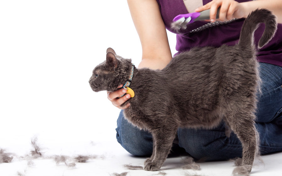 Fur fetcher de-shedding tool for cats removes loose fur without harming your cats skin
