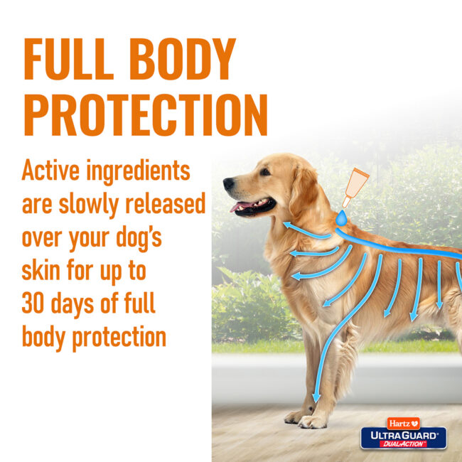Full body protection drops for dogs