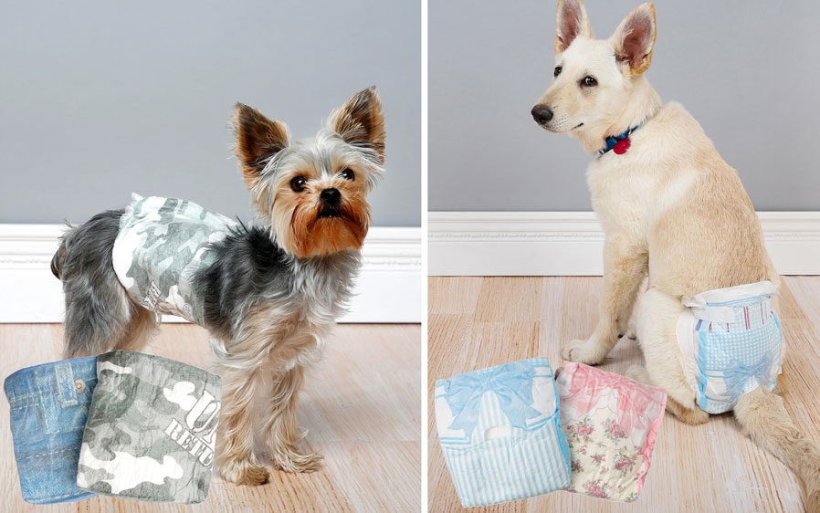 hartz dog diapers and male wraps for dogs come in fun designs