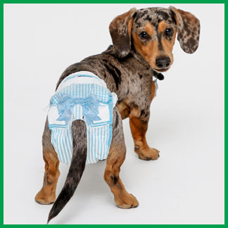 Hartz dog diapers have an adjustable tail hole.