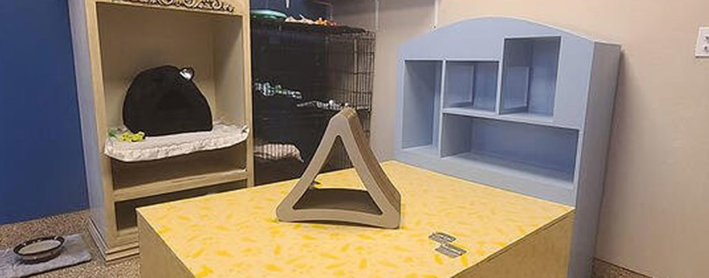rescue rebuild refurbished cat bedroom, Tempe, Arizona