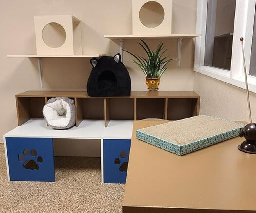 Office themed cat playroom. Hartz,  Rescue Rebuild