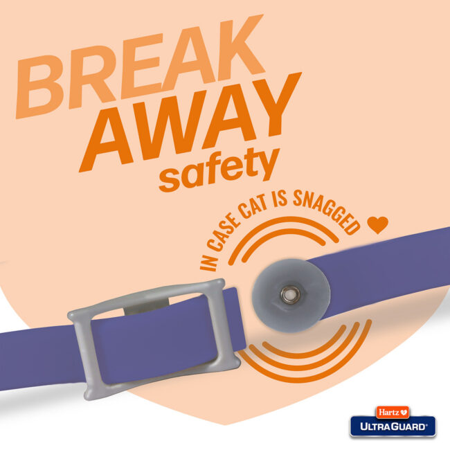 Purple flea tick collar. Break away safety