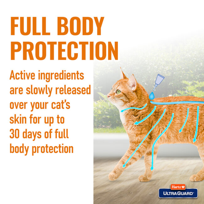 Flea cat drops for full body protection