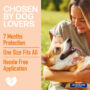 Best dog collar chosen by dog lovers