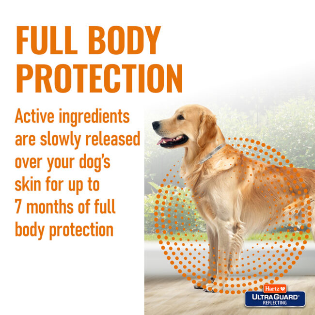 Full body protection dog collar