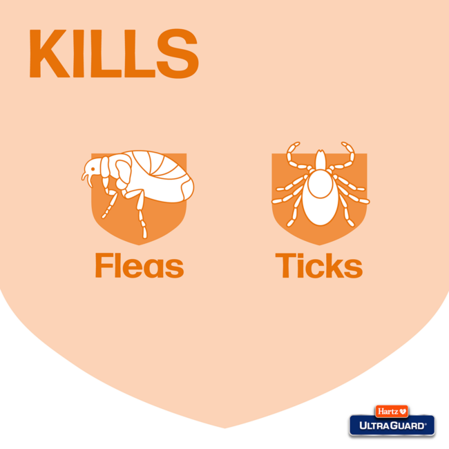 Ultraguard cat collar kills fleas and ticks