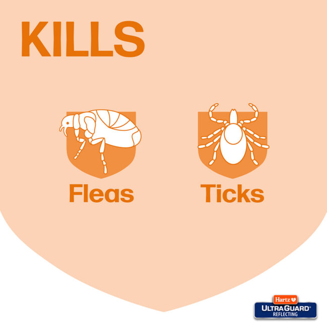 Reflecting Dog collar for fleas and ticks