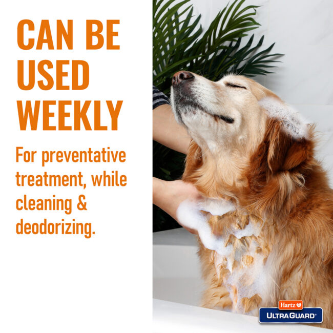 Weekly dog shampoo