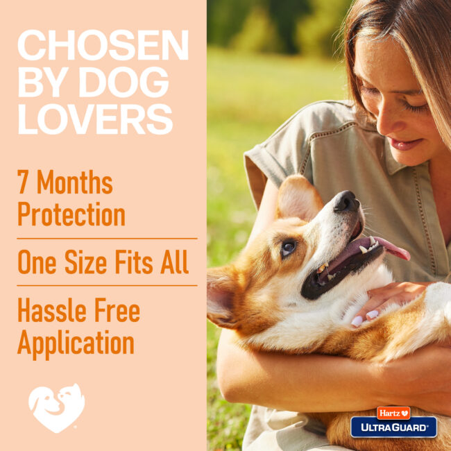 Chosen by dog lovers