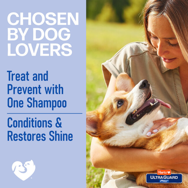 Chosen by dog lovers shampoo