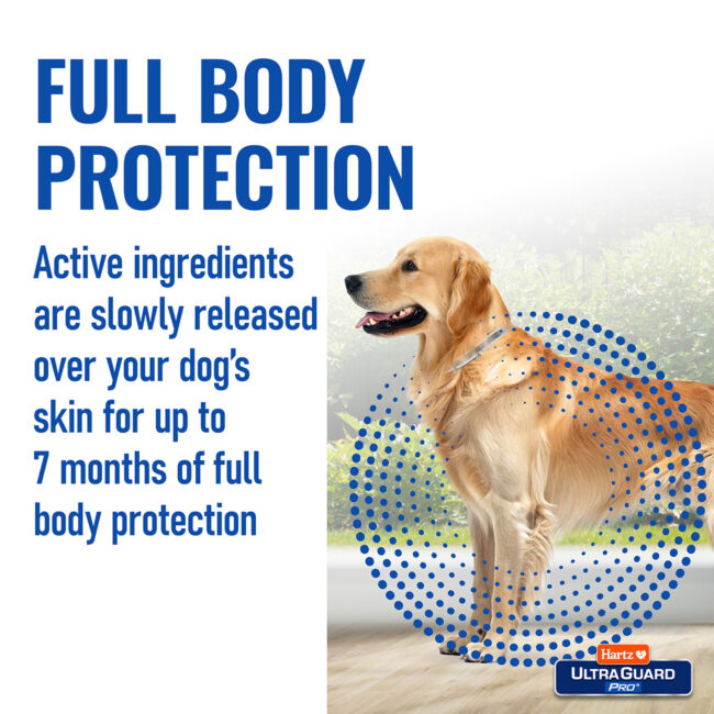 Full body protection dog collar