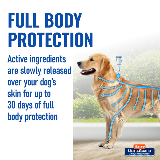 Full body protection drops for dogs