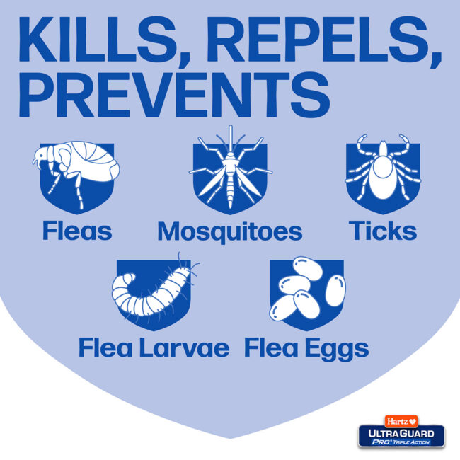 Drops that kills repels, prevents fleas and ticks