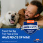 Shampoo protect your dog