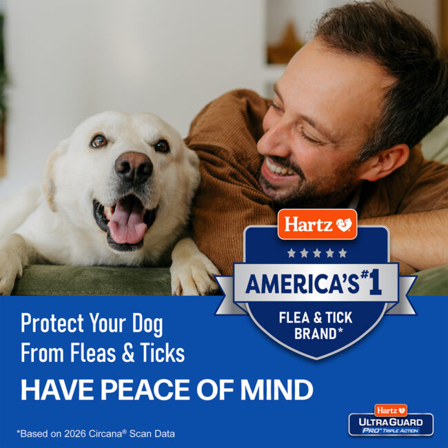 Tick drops for a peace of mind