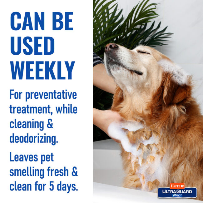 Weekly dog preventative shampoo