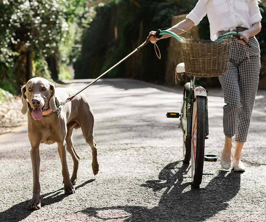 Woman holding a bicycle and a dog on a leash