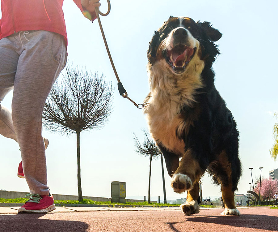 Person running with dog on leash