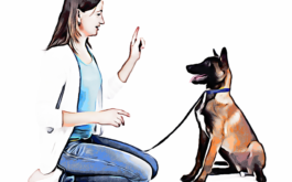 Woman uses hand signal to tell dog to stay