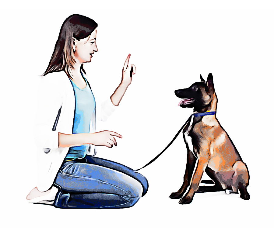 Woman uses hand signal to tell dog to stay
