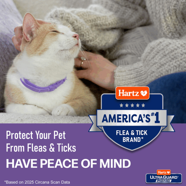 flea & tick peace of mind