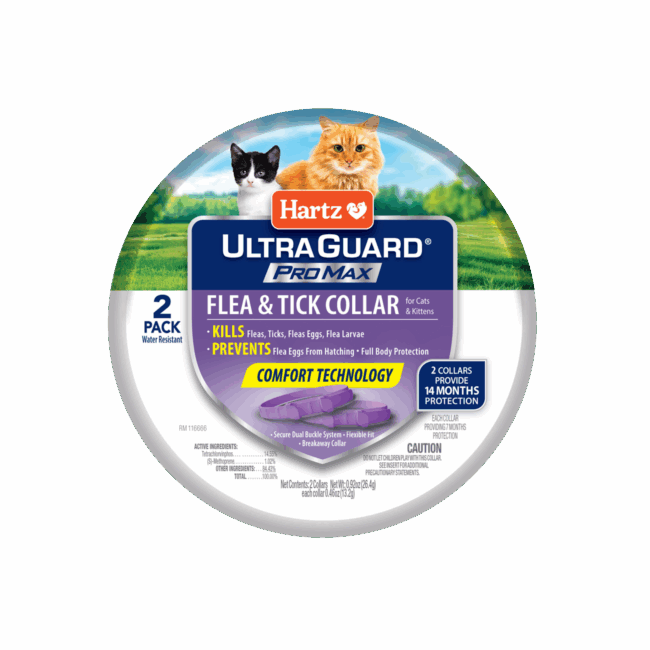 Hartz flea and tick collar for cats. Front of package. Hartz SKU# 3270012944.