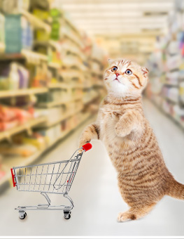 Small cat with shopping cart